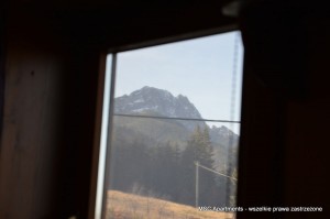 DSC 0078 (1)